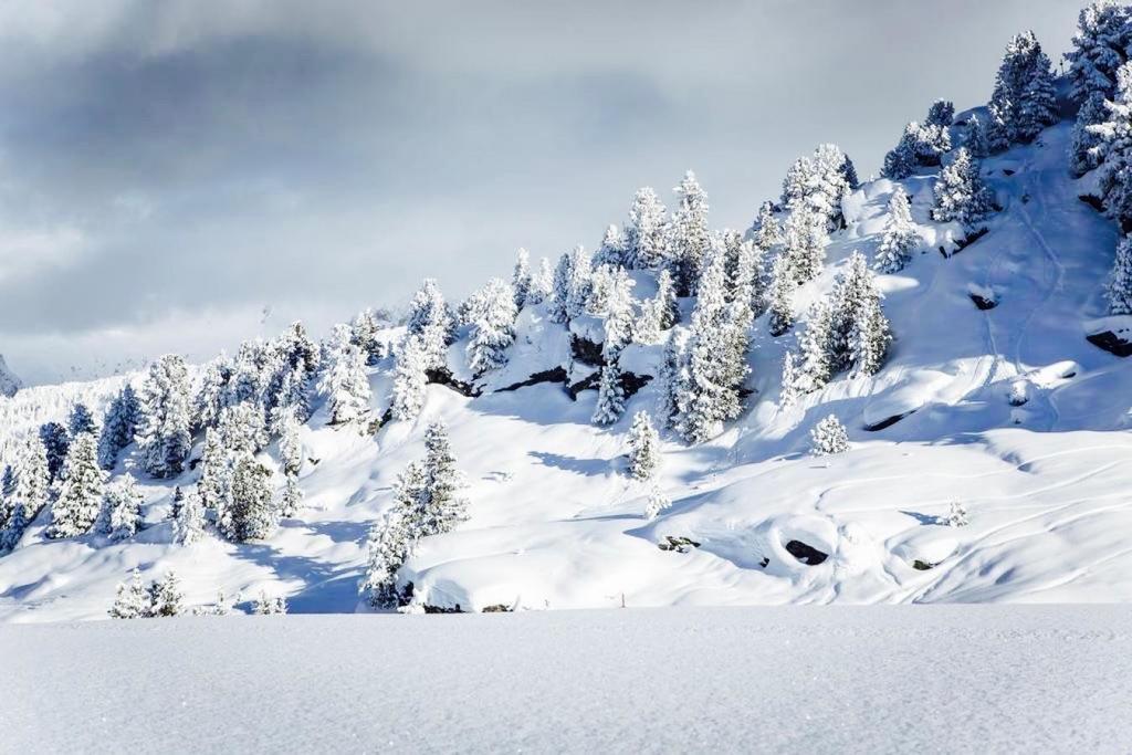 谷雪维尔Domaine Du Jardin Alpin公寓 外观 照片